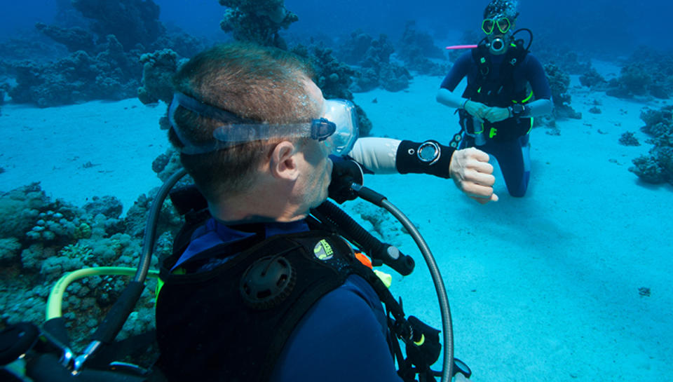 Montre plongée 2025 sous marine decathlon